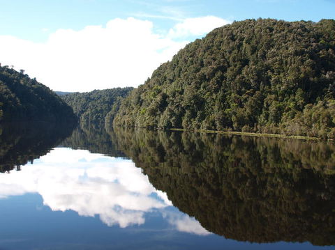 Gordon River Cruise Departing From Strahan - Tweed Heads Accommodation 16