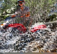 Quad Bike 2-Hour Adventure Freycinet National Park - Tweed Heads Accommodation