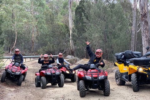 Quad Bike 2-Hour Adventure: Freycinet National Park - Tweed Heads Accommodation 4