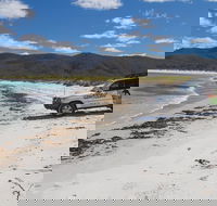 4X4 and Lunch Half Day Bicheno Coastal Mountain - Tweed Heads Accommodation