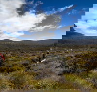 6-Day Overland Track PhotoTour - Tweed Heads Accommodation