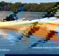 Adelaide Dolphin Sanctuary and Ships Graveyard Kayak Tour - Tweed Heads Accommodation