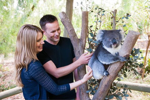 Adelaide Central Market With Cleland Wildlife Park And Mount Lofty Summit - Tweed Heads Accommodation 1