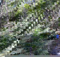 Self-Guided Waterfall Gully to Mount Lofty Hike from Adelaide - Tweed Heads Accommodation