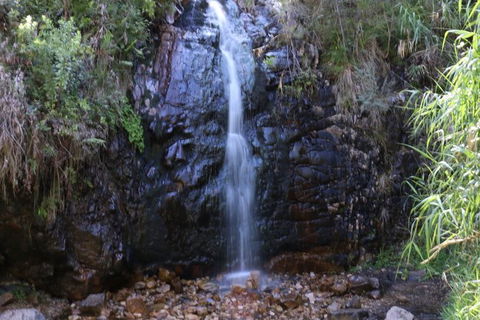 Self-Guided Waterfall Gully To Mount Lofty Hike From Adelaide - Tweed Heads Accommodation 2
