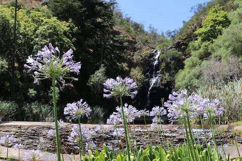 Self-Guided Waterfall Gully To Mount Lofty Hike From Adelaide - Tweed Heads Accommodation 6