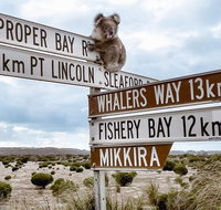 Private Port Lincoln Day Tour Tasting Eyre - Tweed Heads Accommodation