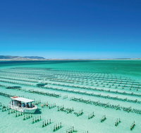 Coffin Bay Private Day Tour from Port Lincoln - A Taste of Coffin Bay - Tweed Heads Accommodation