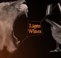 Monarto Safari Park Ultimate Lions  Wines Experience from Adelaide - Tweed Heads Accommodation
