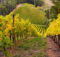 Private Adelaide Hills Wine Region Tour - Tweed Heads Accommodation