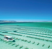 Coffin Bay Day Tour - A Taste of Coffin Bay - Tweed Heads Accommodation