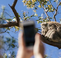 Exceptional Port Lincoln Seafood and Wildlife Tour - Tweed Heads Accommodation