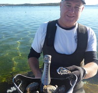 Oyster Farm and Tasting Tour with Hotel Pick-up and return from Port Lincoln - Tweed Heads Accommodation