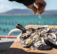 Experience Coffin Bay Oyster Farm and Bay Tour - Tweed Heads Accommodation