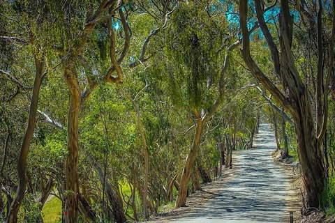 Get UnCorked In Clare Valley Tour From Adelaide - Tweed Heads Accommodation 6