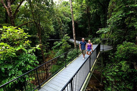 5-Day Best Of Cairns With Daintree, Kuranda, And Great Barrier Reef - Tweed Heads Accommodation 4