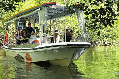 5-Day Best Of Cairns With Daintree, Kuranda, And Great Barrier Reef - Tweed Heads Accommodation 8
