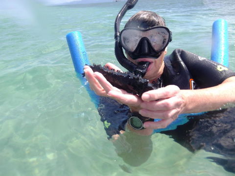 Great Barrier Reef Sailing And Snorkeling Cruise From Port Douglas - Tweed Heads Accommodation 4