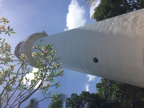 Great Barrier Reef Sailing And Snorkeling Cruise From Port Douglas - Tweed Heads Accommodation 2