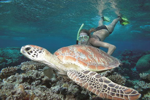 Great Barrier Reef Sailing And Snorkeling Cruise From Port Douglas - Tweed Heads Accommodation 0