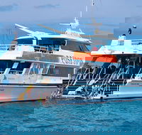 Poseidon Outer Great Barrier Reef Snorkeling and Diving Cruise from Port Douglas - Tweed Heads Accommodation
