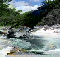 Daintree Rainforest Cape Tribulation Mossman Gorge in a day - Tweed Heads Accommodation