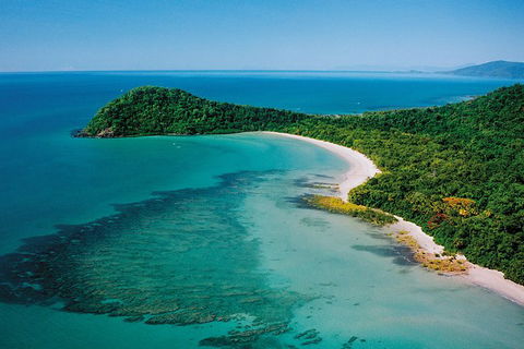 Daintree Rainforest, Cape Tribulation, Mossman Gorge In A Day - Tweed Heads Accommodation 6