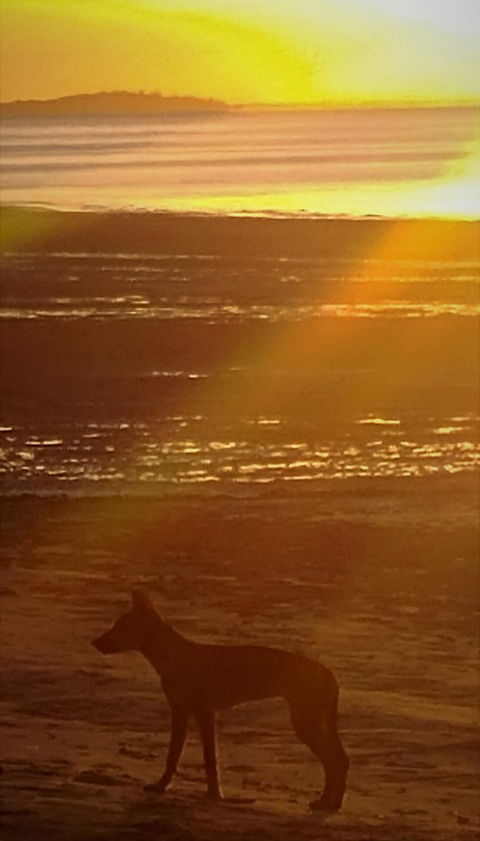 3-Day Fraser Island Resort Package - Tweed Heads Accommodation 3
