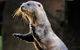 3-Day Fraser Island Resort Package - thumb 4