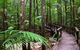 3-Day Fraser Island Resort Package - thumb 8