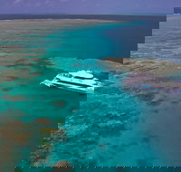 Silversonic Outer Great Barrier Reef Dive and Snorkel Cruise from Port Douglas - Tweed Heads Accommodation