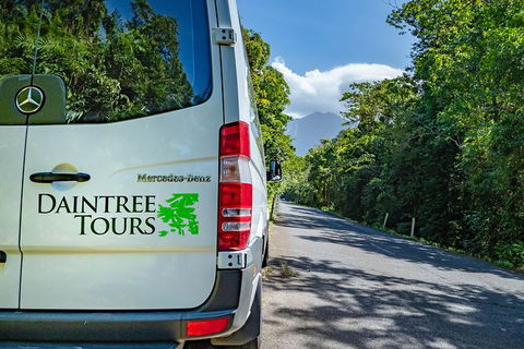 Full Day Daintree Rainforest And Mossman Gorge Tour - Tweed Heads Accommodation 4