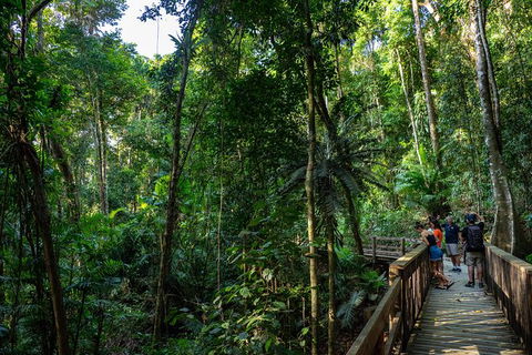 Full Day Daintree Rainforest And Mossman Gorge Tour - Tweed Heads Accommodation 10