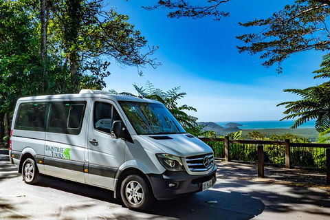 Full Day Daintree Rainforest And Mossman Gorge Tour - Tweed Heads Accommodation 6