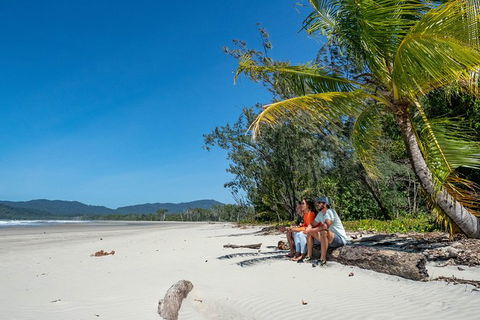 Full Day Daintree Rainforest And Mossman Gorge Tour - Tweed Heads Accommodation 11