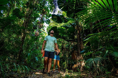 Full Day Daintree Rainforest And Mossman Gorge Tour - Tweed Heads Accommodation 12