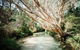 All-Inclusive 2-Day Fraser Island Tour - thumb 11