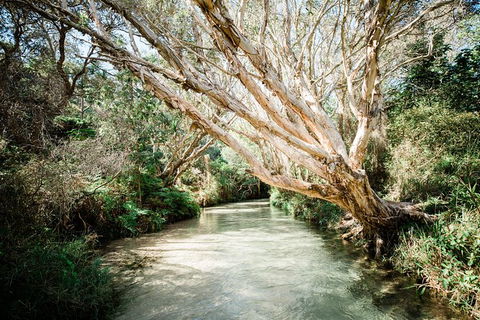 All-Inclusive 2-Day Fraser Island Tour - Tweed Heads Accommodation 11