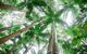 All-Inclusive 2-Day Fraser Island Tour - thumb 8