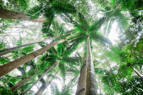 All-Inclusive 2-Day Fraser Island Tour - Tweed Heads Accommodation 8