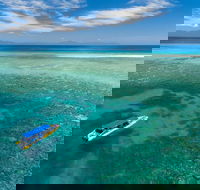 Ocean Safari Great Barrier Reef Experience in Cape Tribulation - Tweed Heads Accommodation