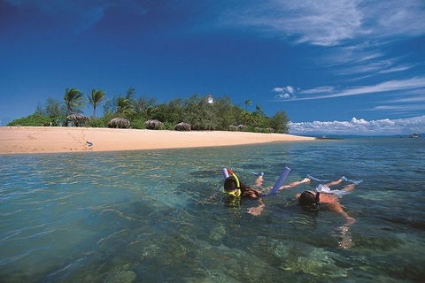 Mossman Gorge Dreamtime Walk And Low Isles Snorkeling And Sailing Cruise - Tweed Heads Accommodation 1
