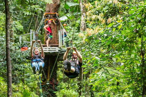 Cape Tribulation Jungle Surfing Canopy Tour - Tweed Heads Accommodation 1