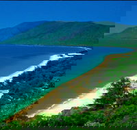 Cairns Reef and Rainforest Combo Daintree Rainforest and the Great Barrier Reef - Tweed Heads Accommodation