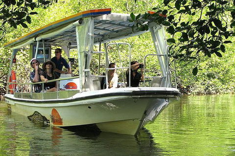 Cairns Reef And Rainforest Combo: Daintree Rainforest And The Great Barrier Reef - Tweed Heads Accommodation 5