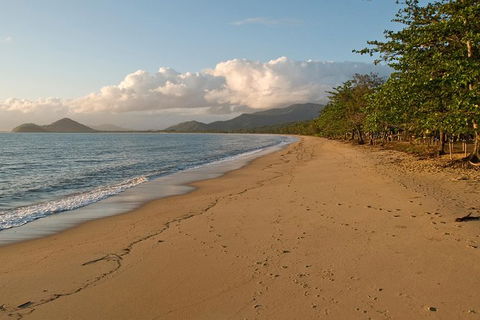 Cairns Reef And Rainforest Combo: Daintree Rainforest And The Great Barrier Reef - Tweed Heads Accommodation 10