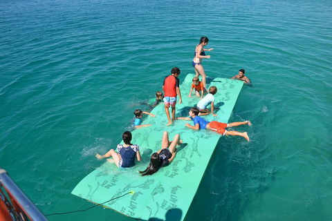 Fraser Island & Dolphin Sailing Adventure - Tweed Heads Accommodation 6