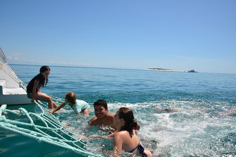 Fraser Island & Dolphin Sailing Adventure - Tweed Heads Accommodation 9