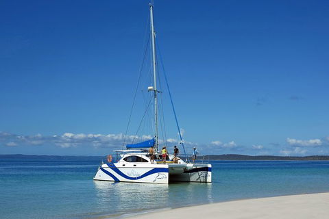 Fraser Island & Dolphin Sailing Adventure - Tweed Heads Accommodation 7