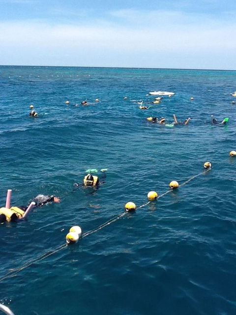 Quicksilver Outer Great Barrier Reef Snorkel Cruise From Port Douglas - Tweed Heads Accommodation 2